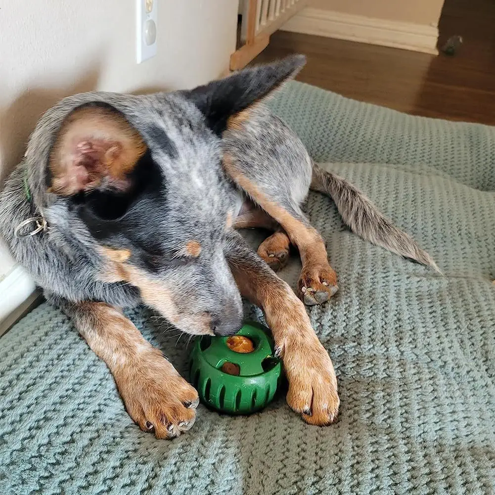 Silicone Frozen Treat Maker for Dogs