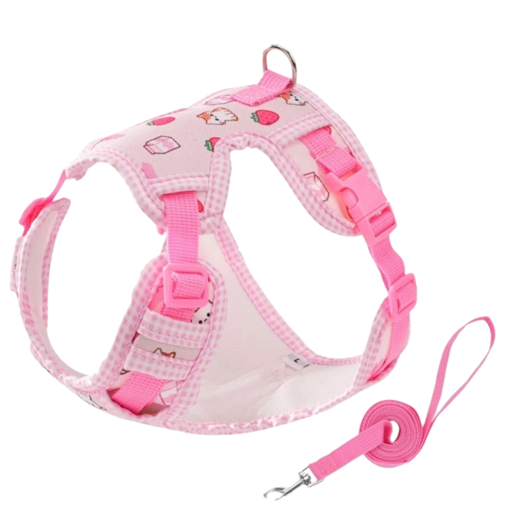 Adjustable Breathable Dog Harness and Leash Set