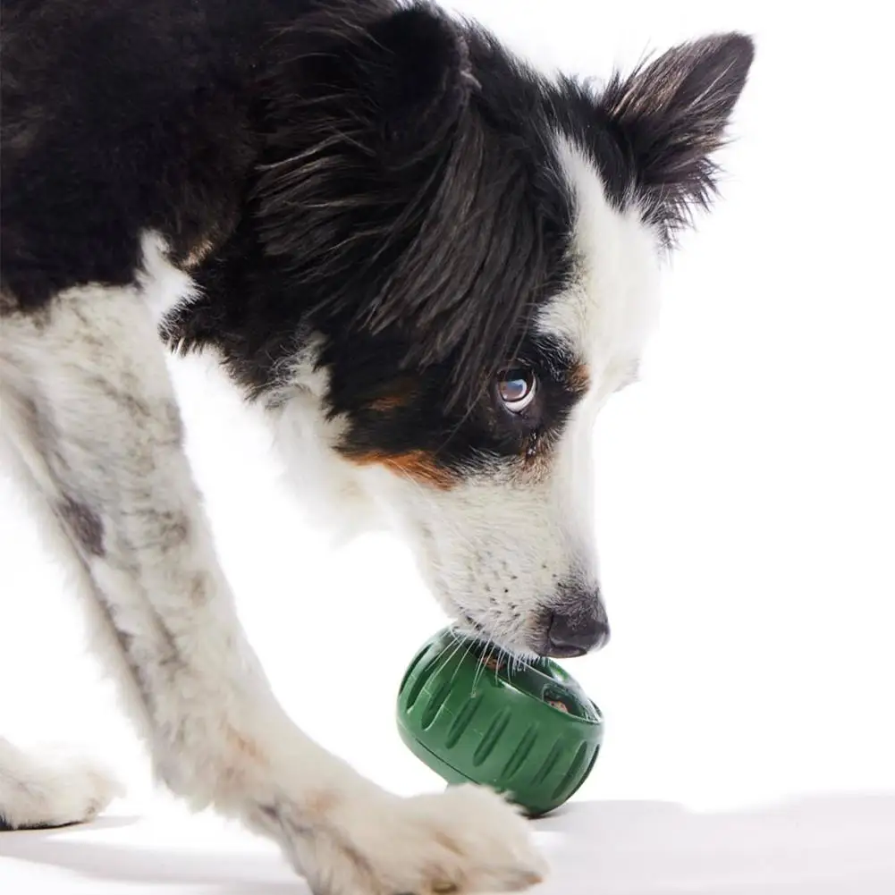 Silicone Frozen Treat Maker for Dogs