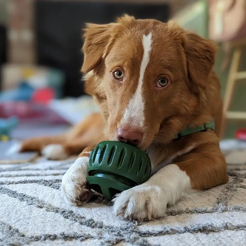 Silicone Frozen Treat Maker for Dogs