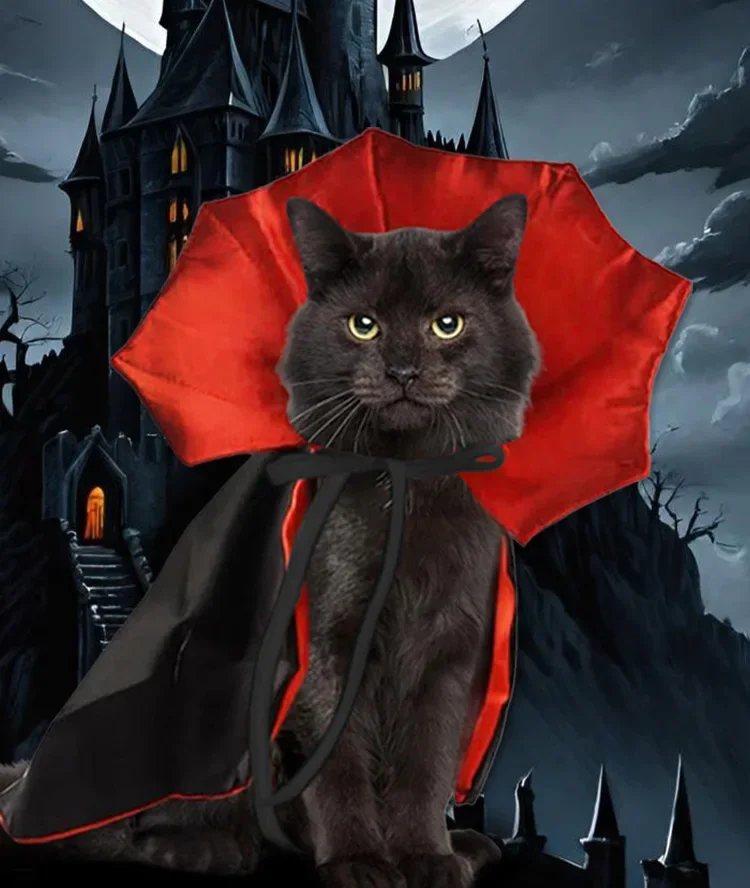Halloween Bat Wing Pet Cape