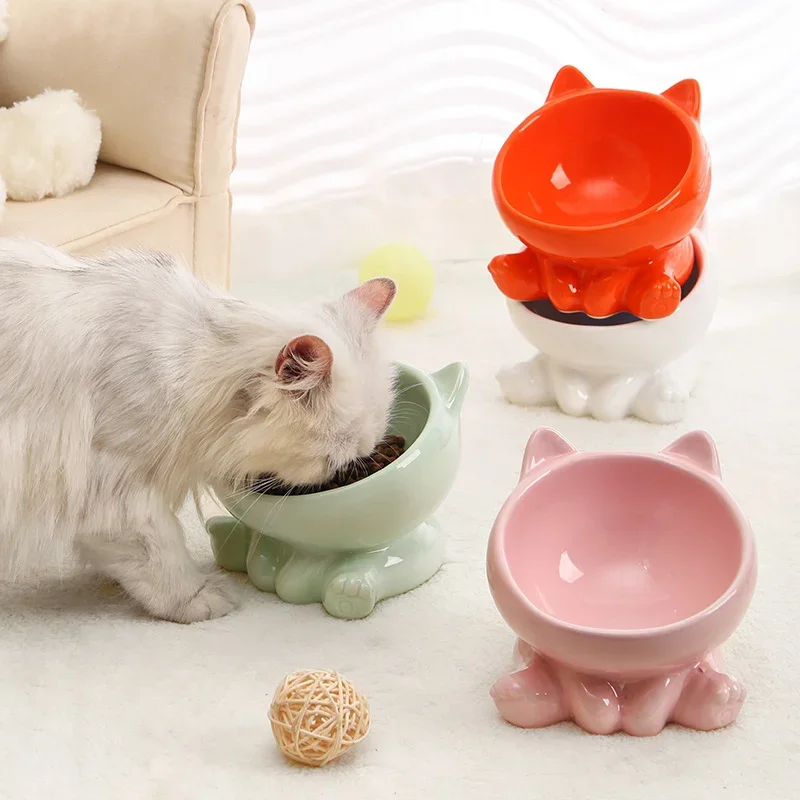Elevated Ceramic Cat Bowl with Angled Design