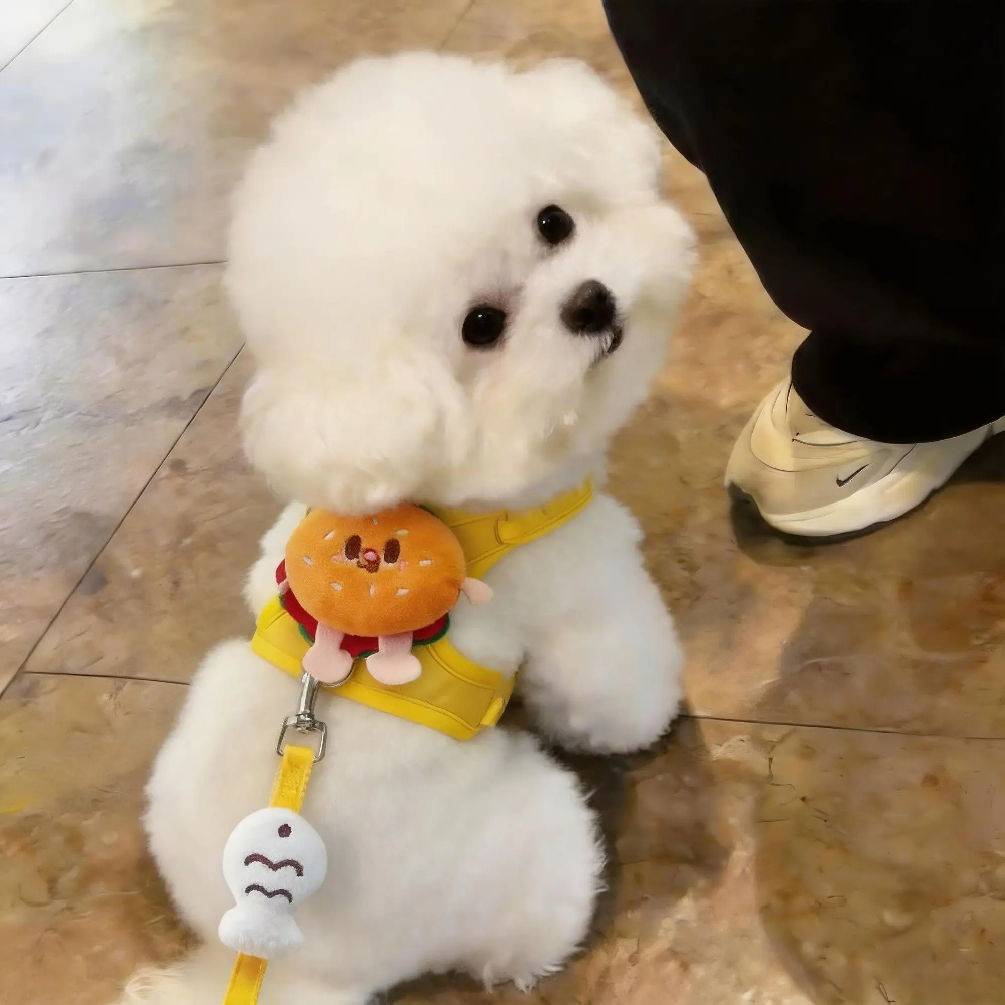 Hamburger-Shaped Dog Harness and Leash