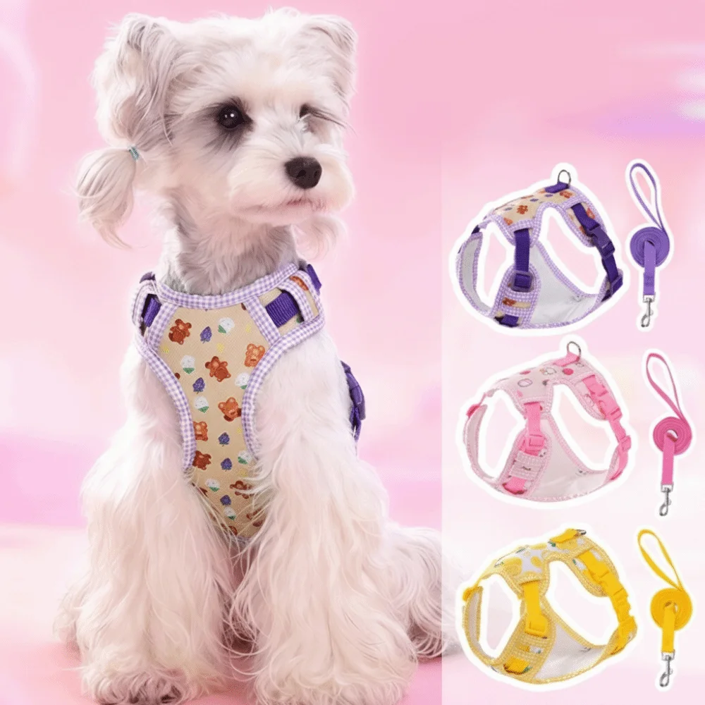 Adjustable Breathable Dog Harness and Leash Set