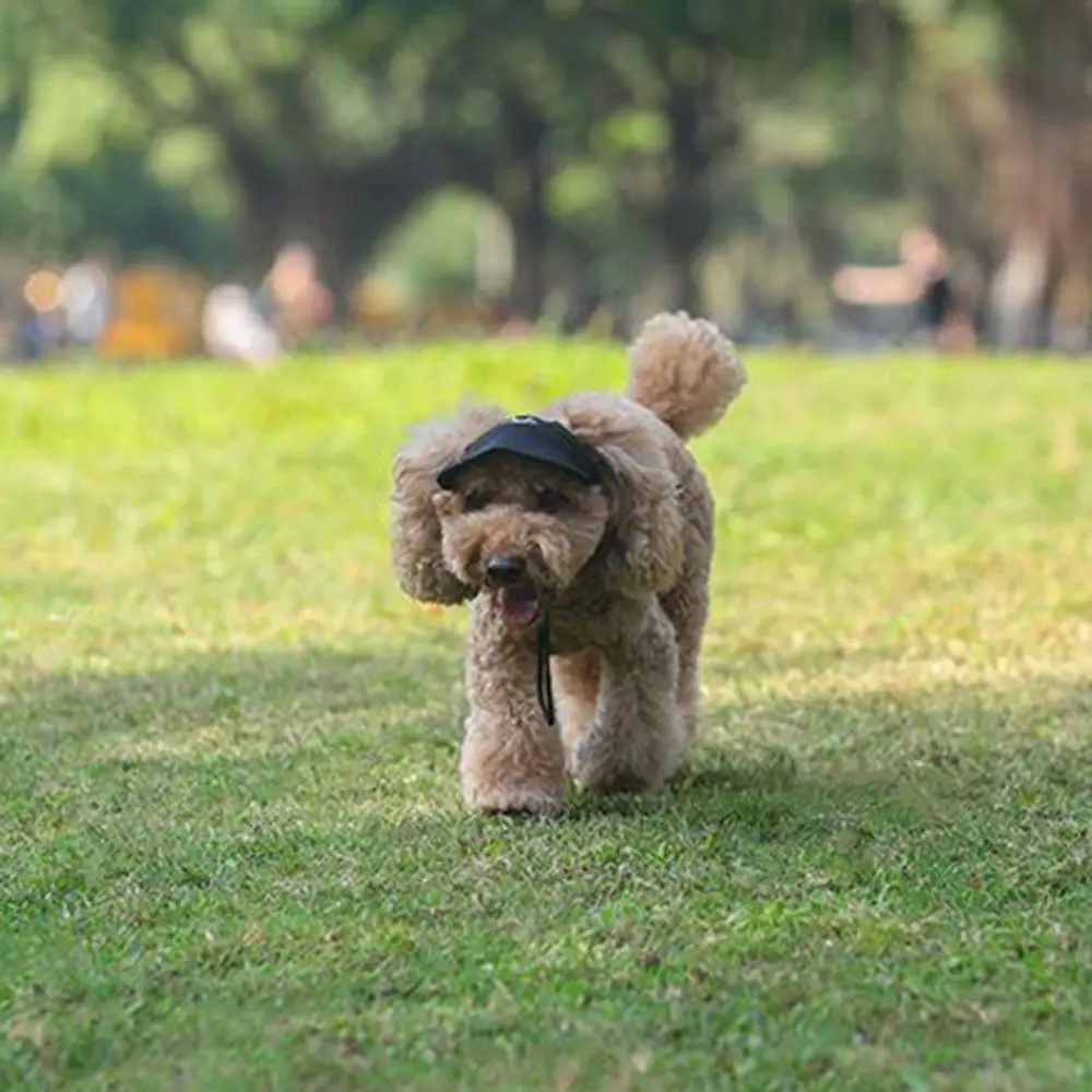 Adjustable Pet Baseball Cap with Ear Holes