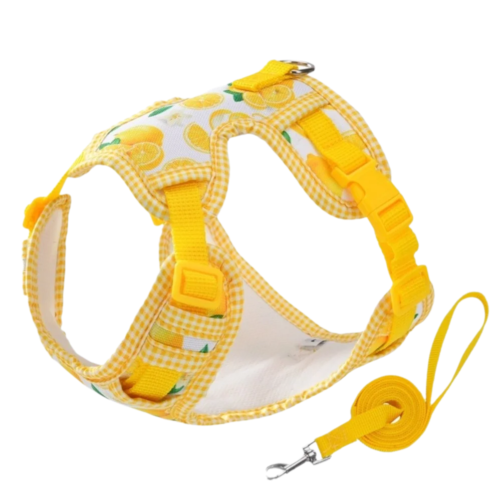 Adjustable Breathable Dog Harness and Leash Set