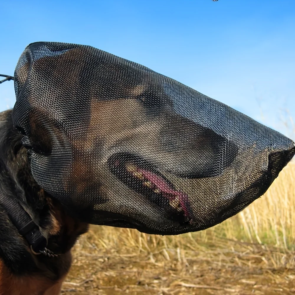 Dog Face Guard for Grass Seeds and Burrs