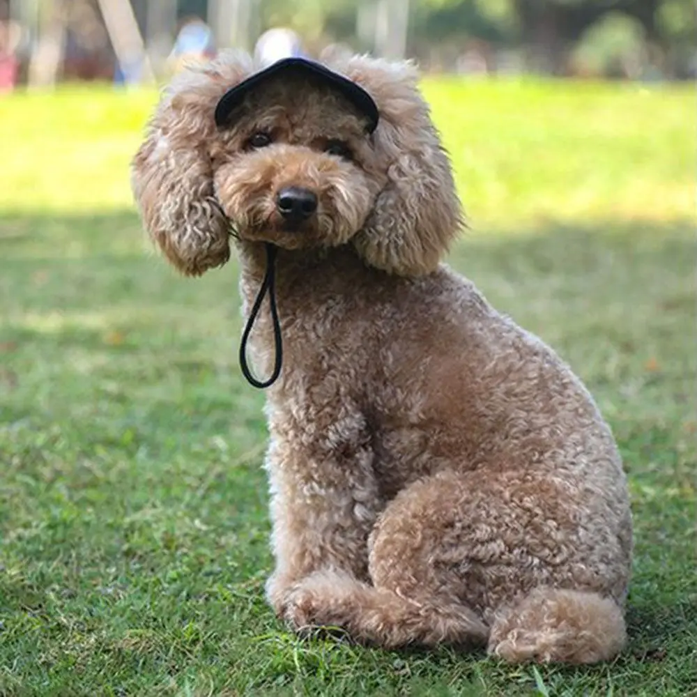 Adjustable Pet Baseball Cap with Ear Holes