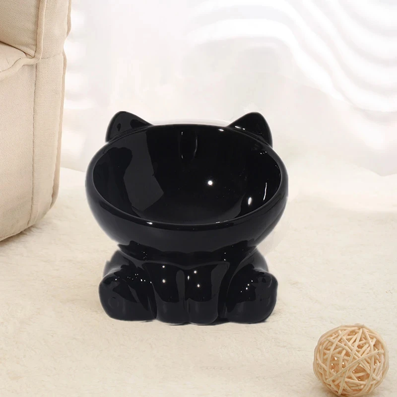 Elevated Ceramic Cat Bowl with Angled Design