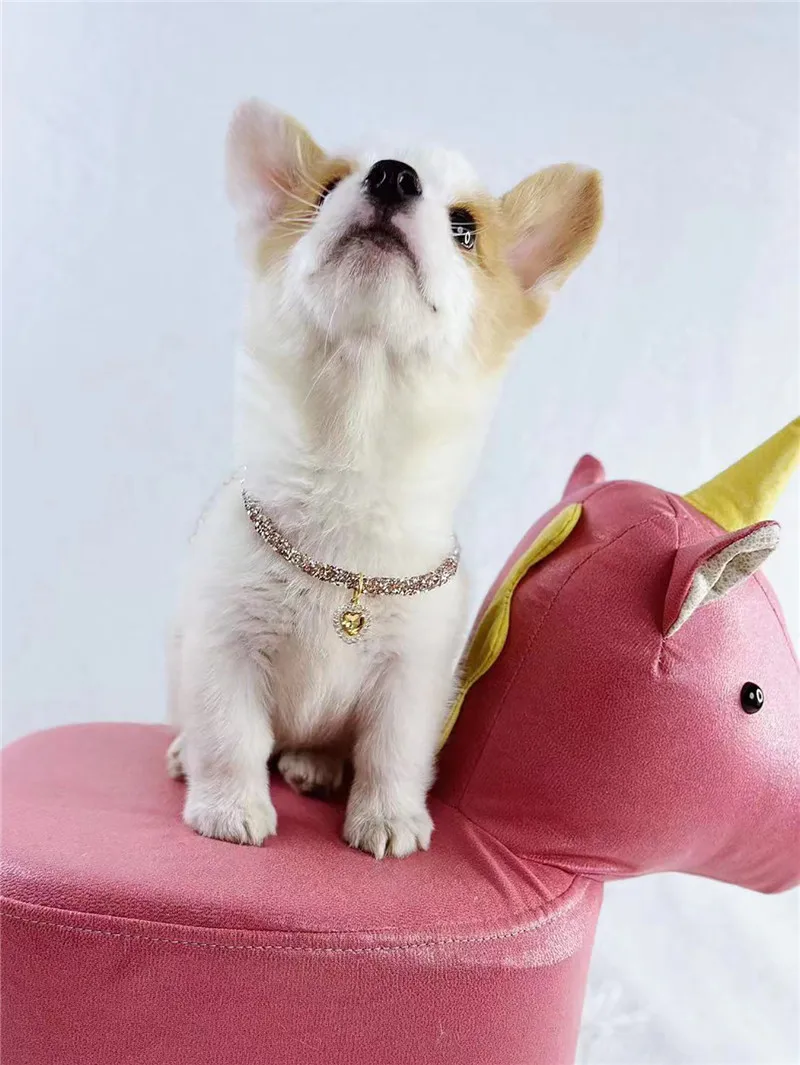 Crystal Heart Pendant Cat Collar