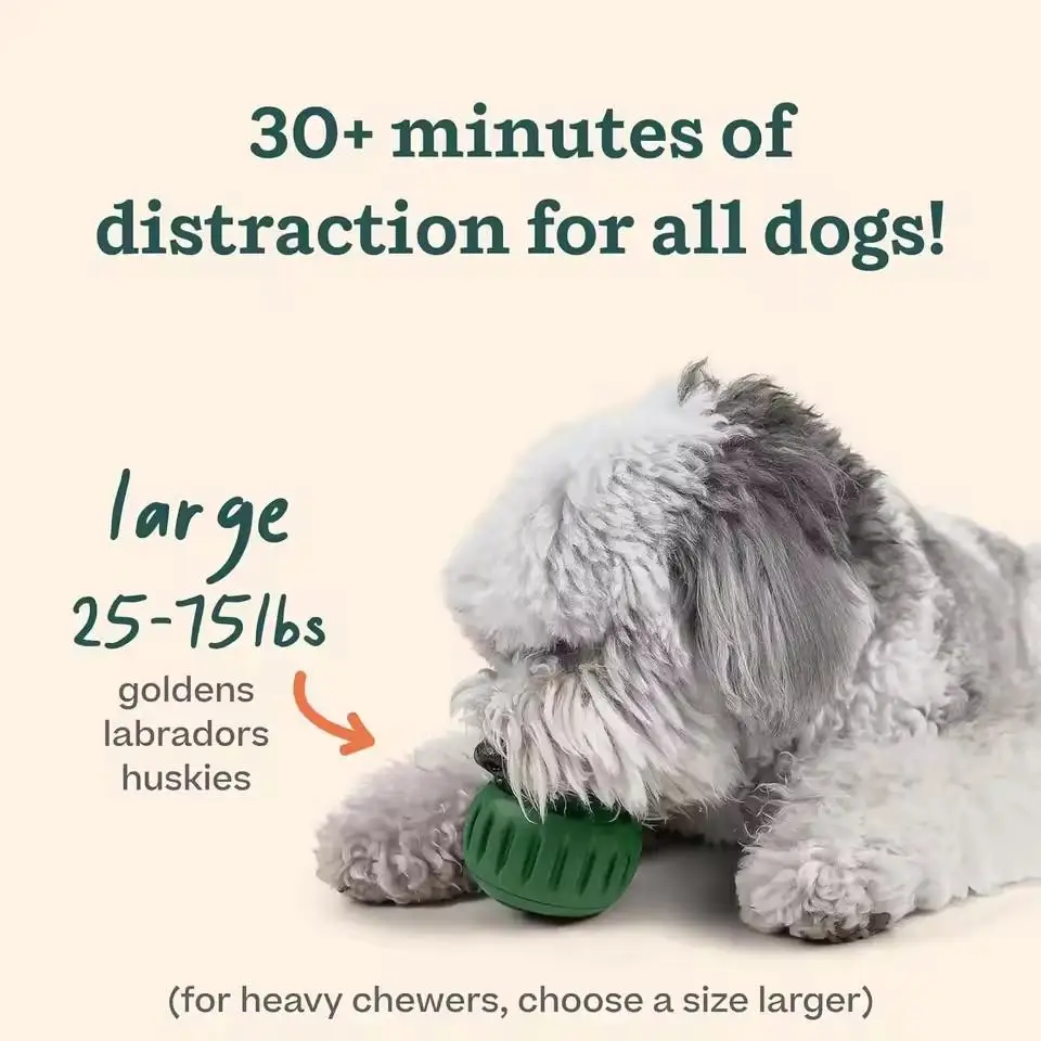 Silicone Frozen Treat Maker for Dogs