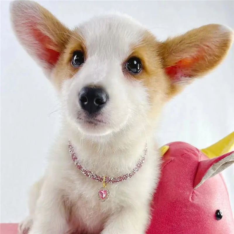 Crystal Heart Pendant Cat Collar