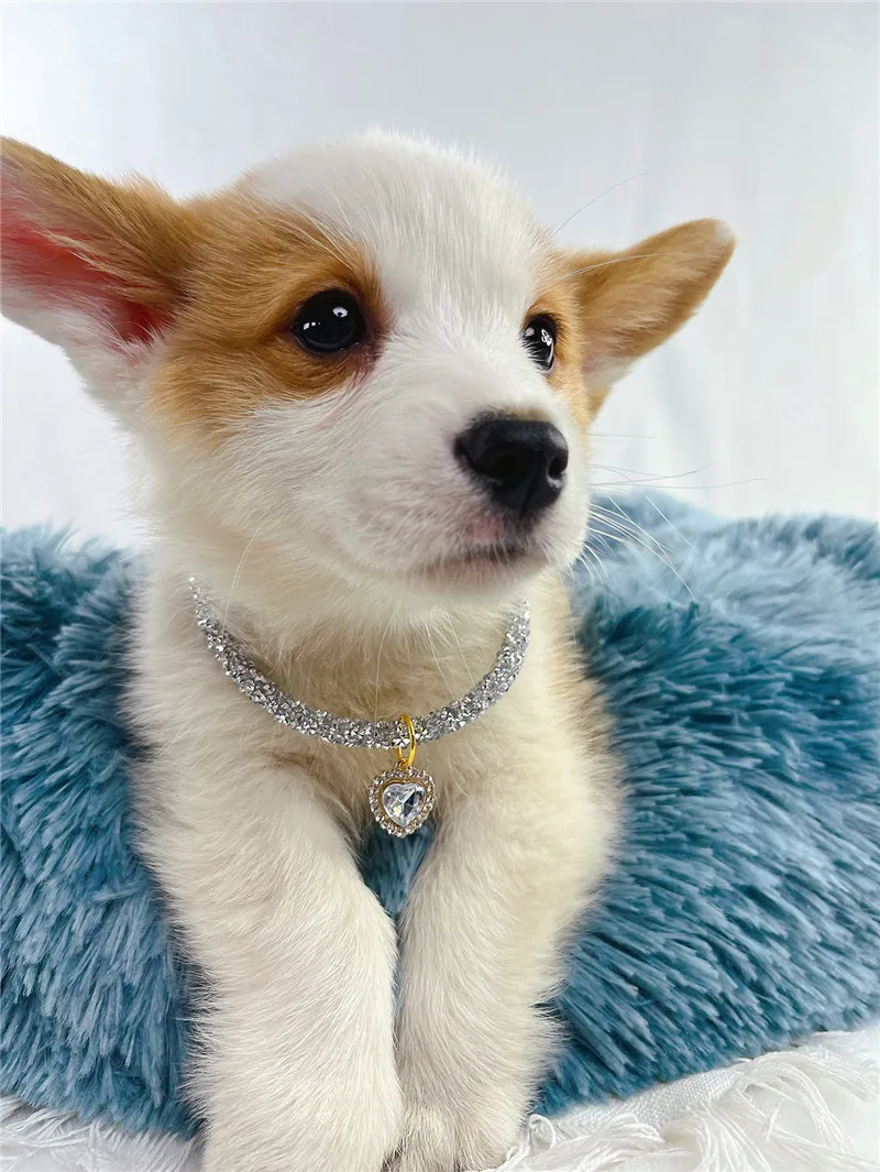 Crystal Heart Pendant Cat Collar