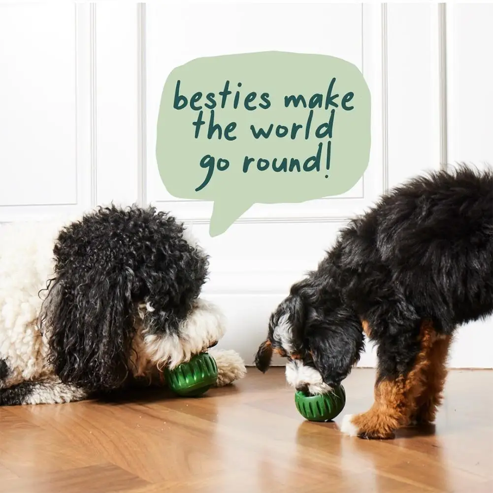 Silicone Frozen Treat Maker for Dogs