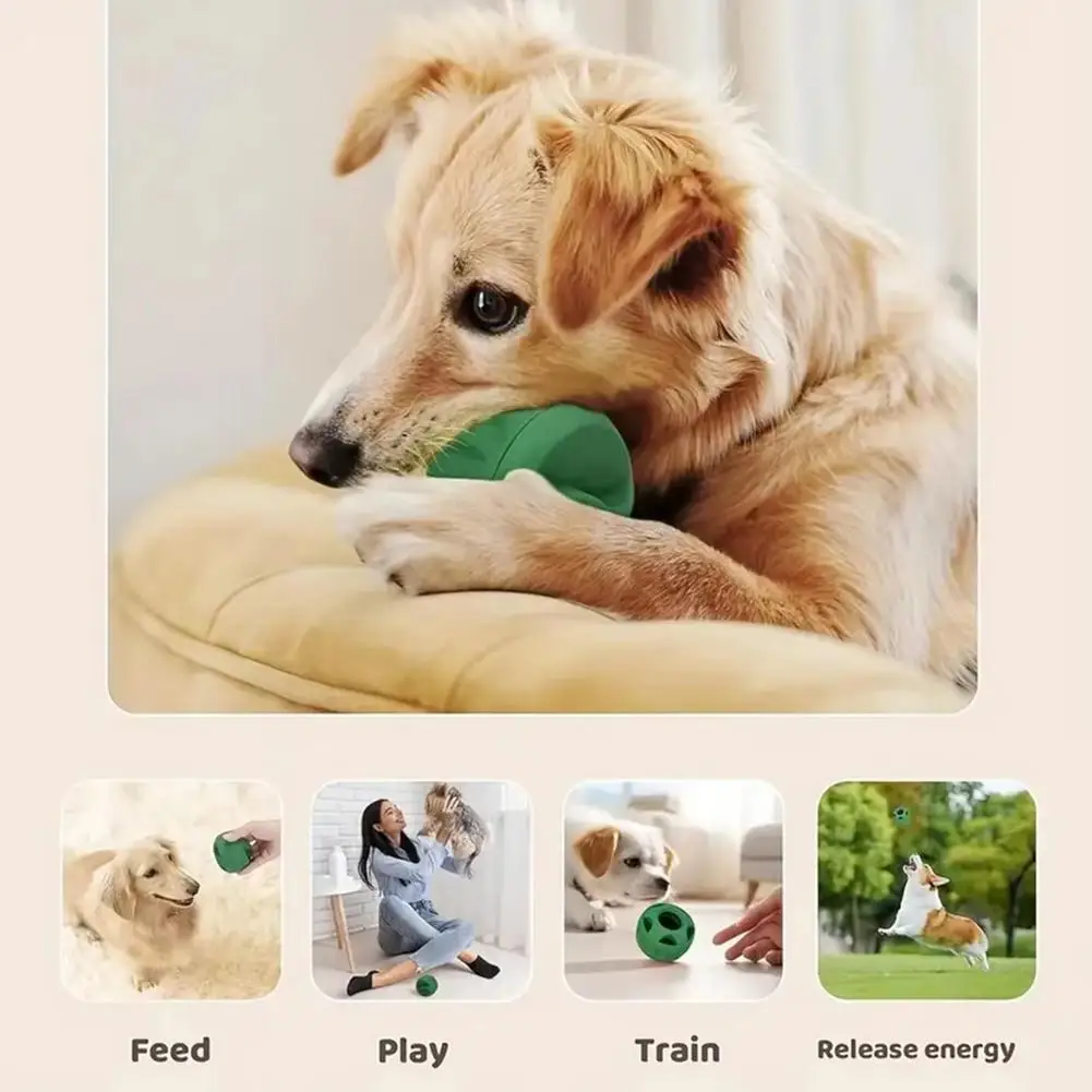 Silicone Frozen Treat Maker for Dogs